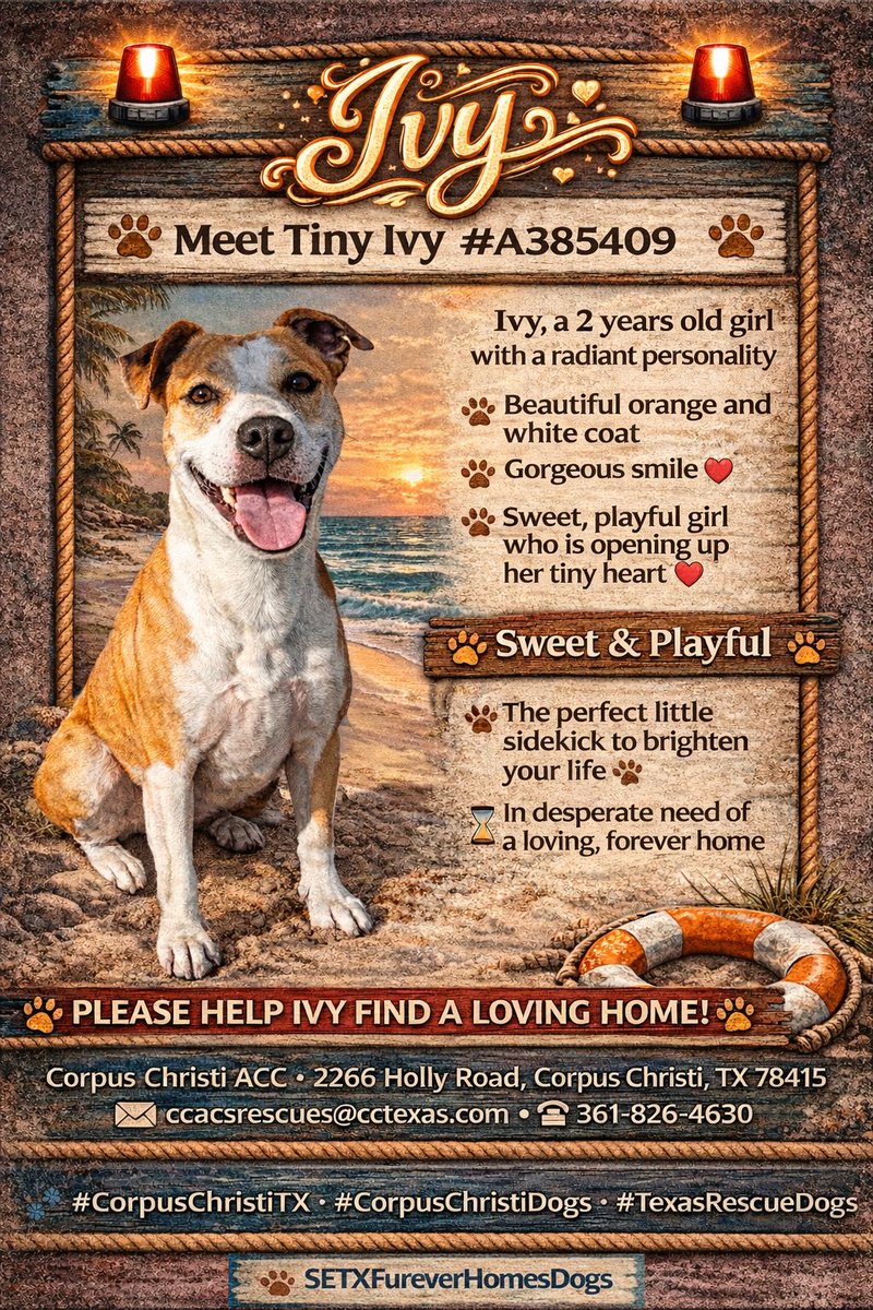 MSC1111 🇳🇱 tweet media