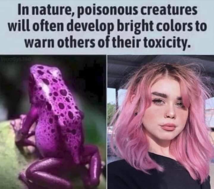 MizzLady tweet media