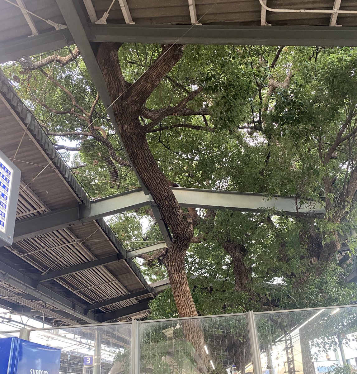 萱島駅の話をお見かけしたので…
とても立派