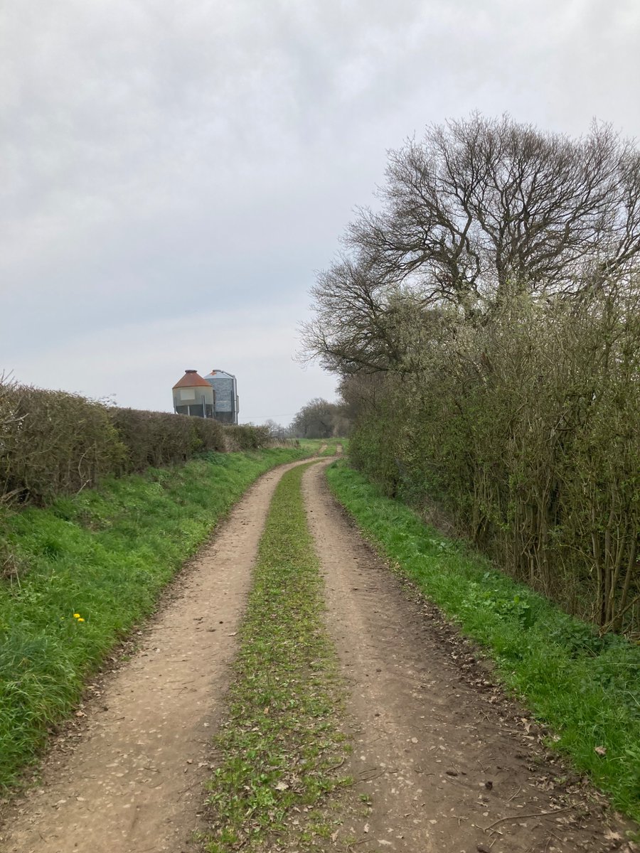 Frogman 🐸🤿 tweet media