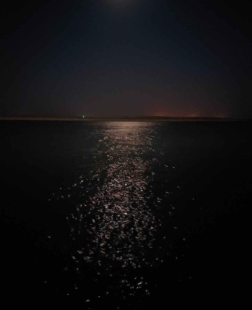 رفاعي الدسوقي tweet media