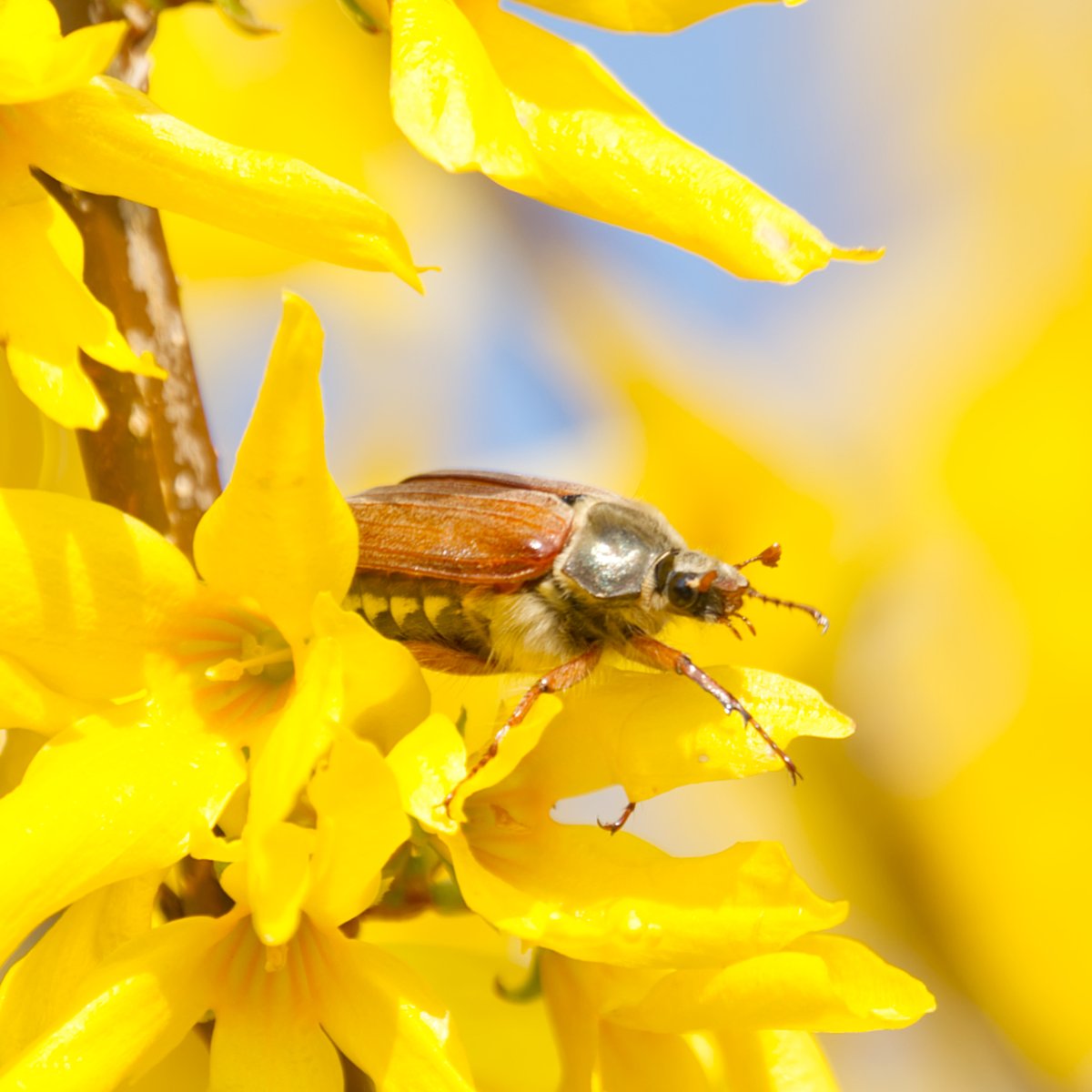 Mathias 🕊 🦋 tweet media