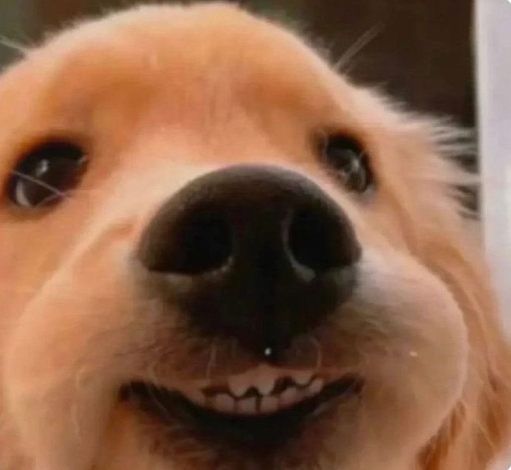 MYLOVELY_YELLOW🌙🐰✨️ tweet media