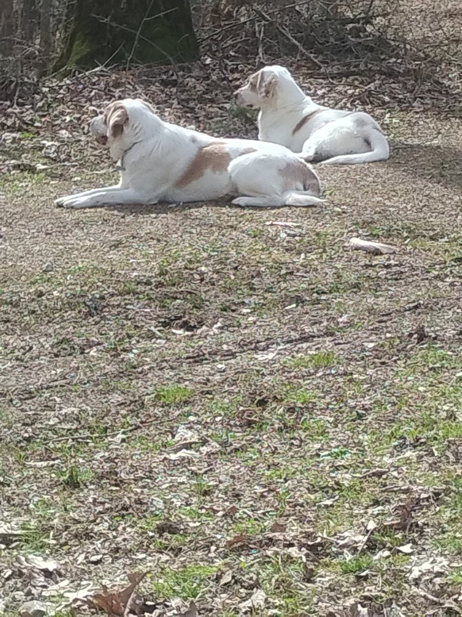 Eric Lyons tweet media