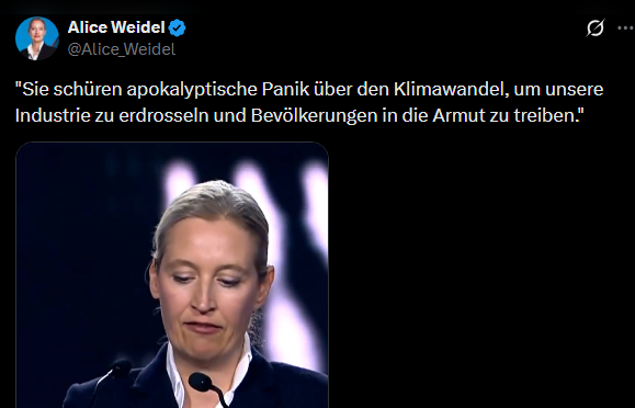 Tante Anni tweet media