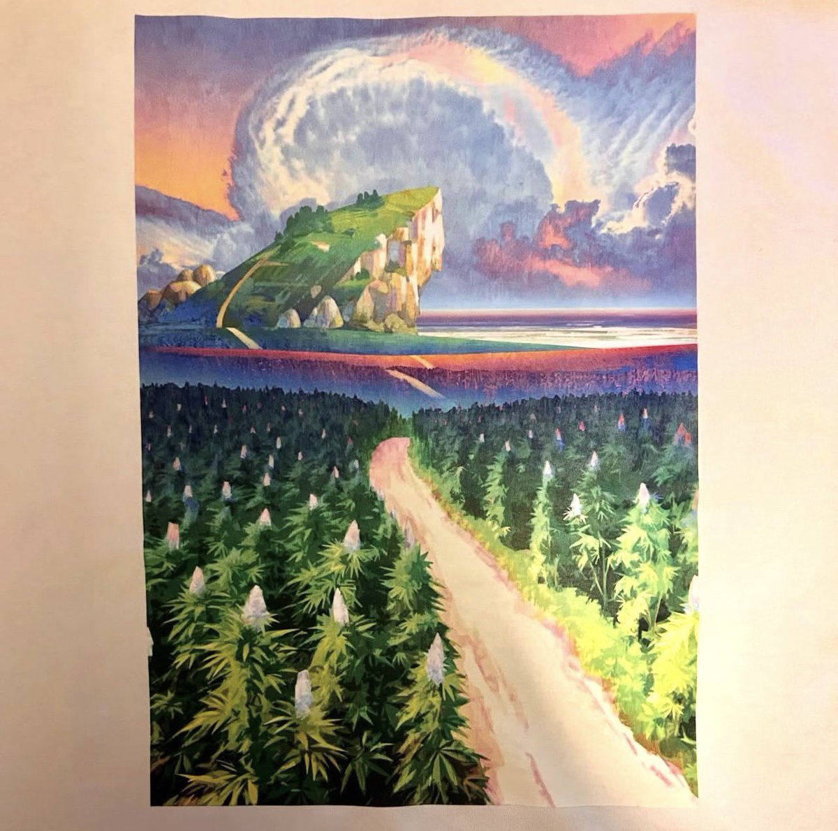 Capella Clothing Company tweet media