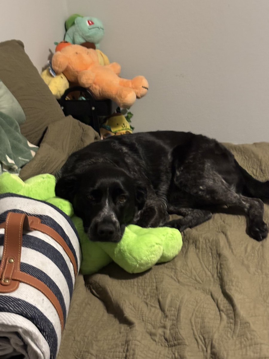 Camphor 🪴 tweet media