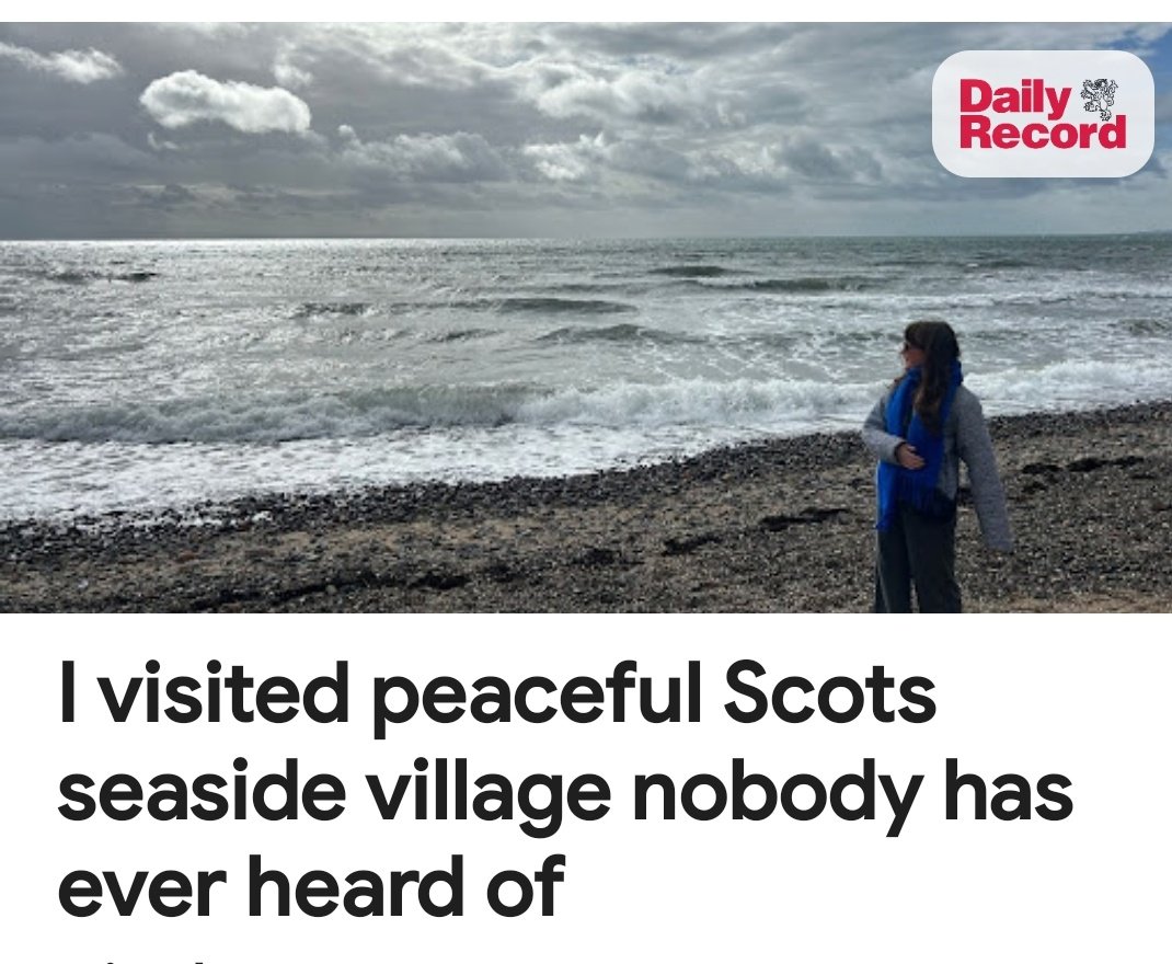 Tequilamockingbird🏴🇵🇸 tweet media