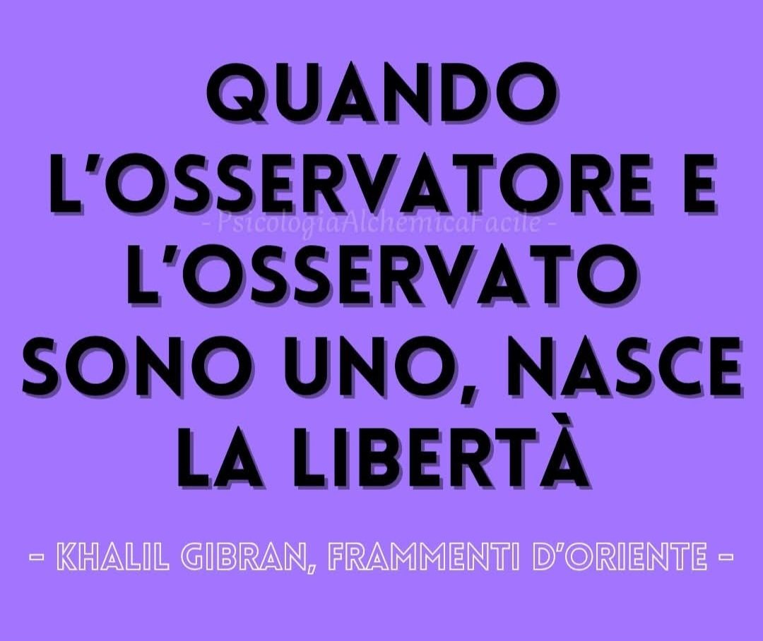 LIntollerante tweet media