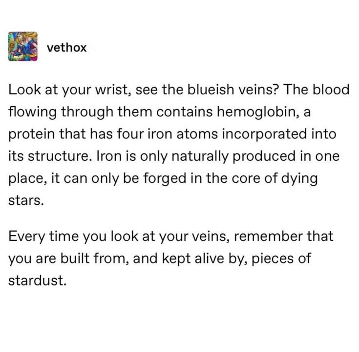 Wolf of X tweet media