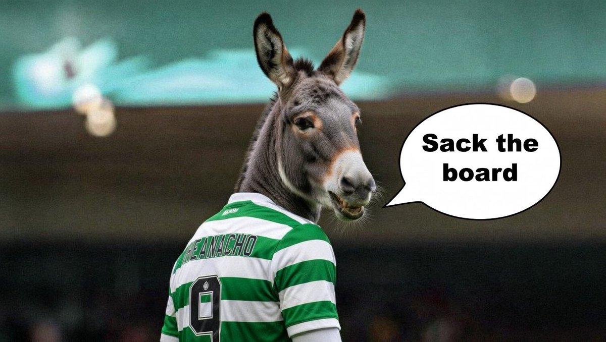 Shane Kilcoyne tweet media