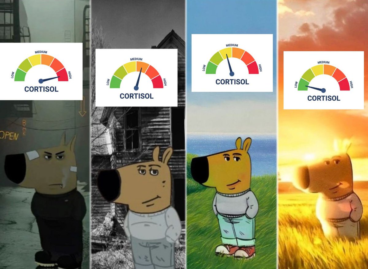 just a chill guy | fan page tweet media