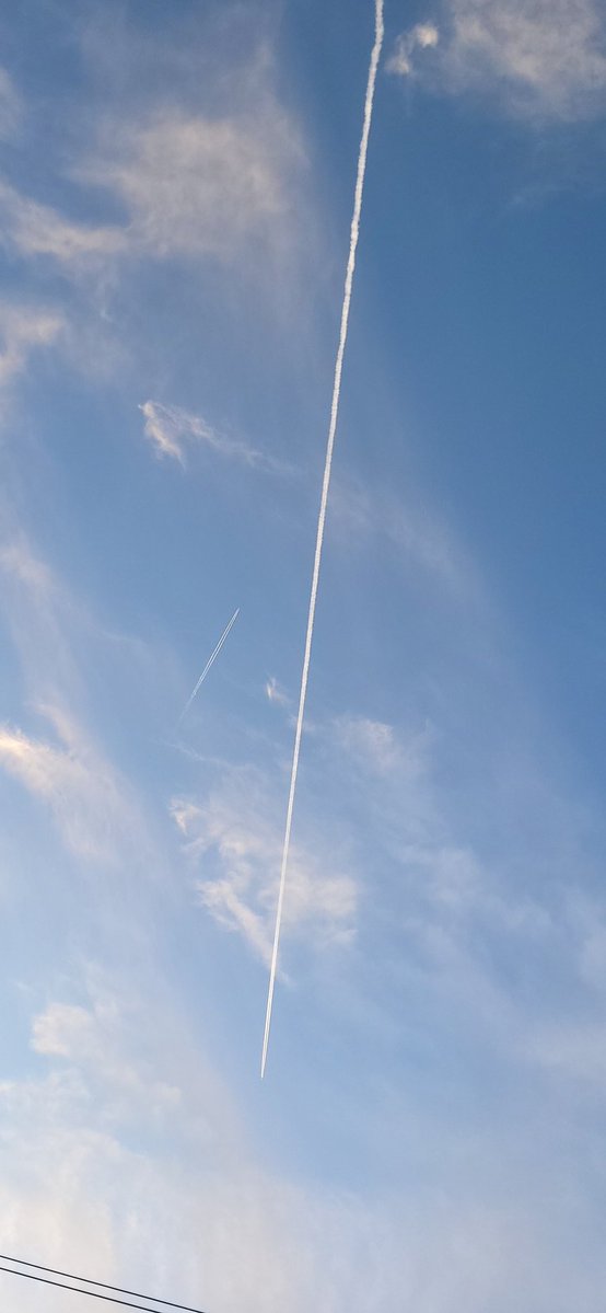 Cory Collins🇺🇲 tweet media