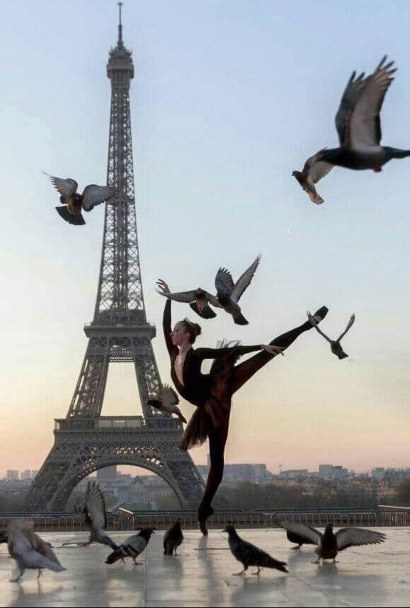 Grigör Suvari 🫀 tweet media