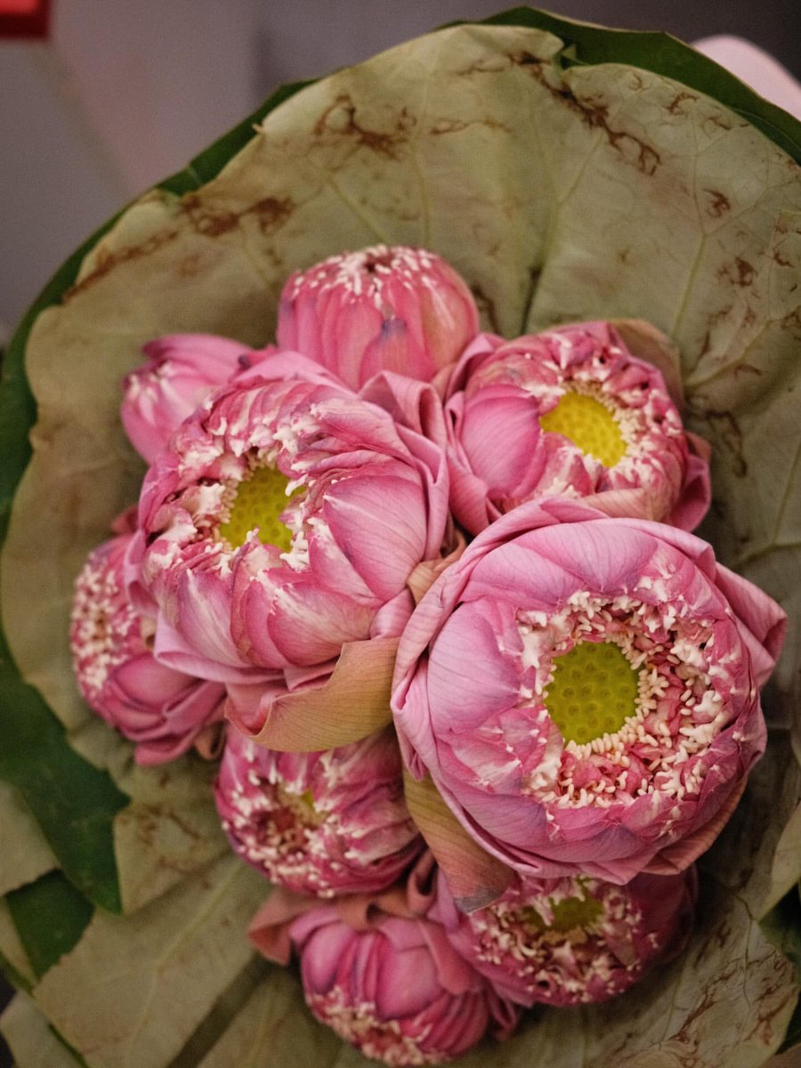 FirstLove Official 🧚‍♂️ tweet media