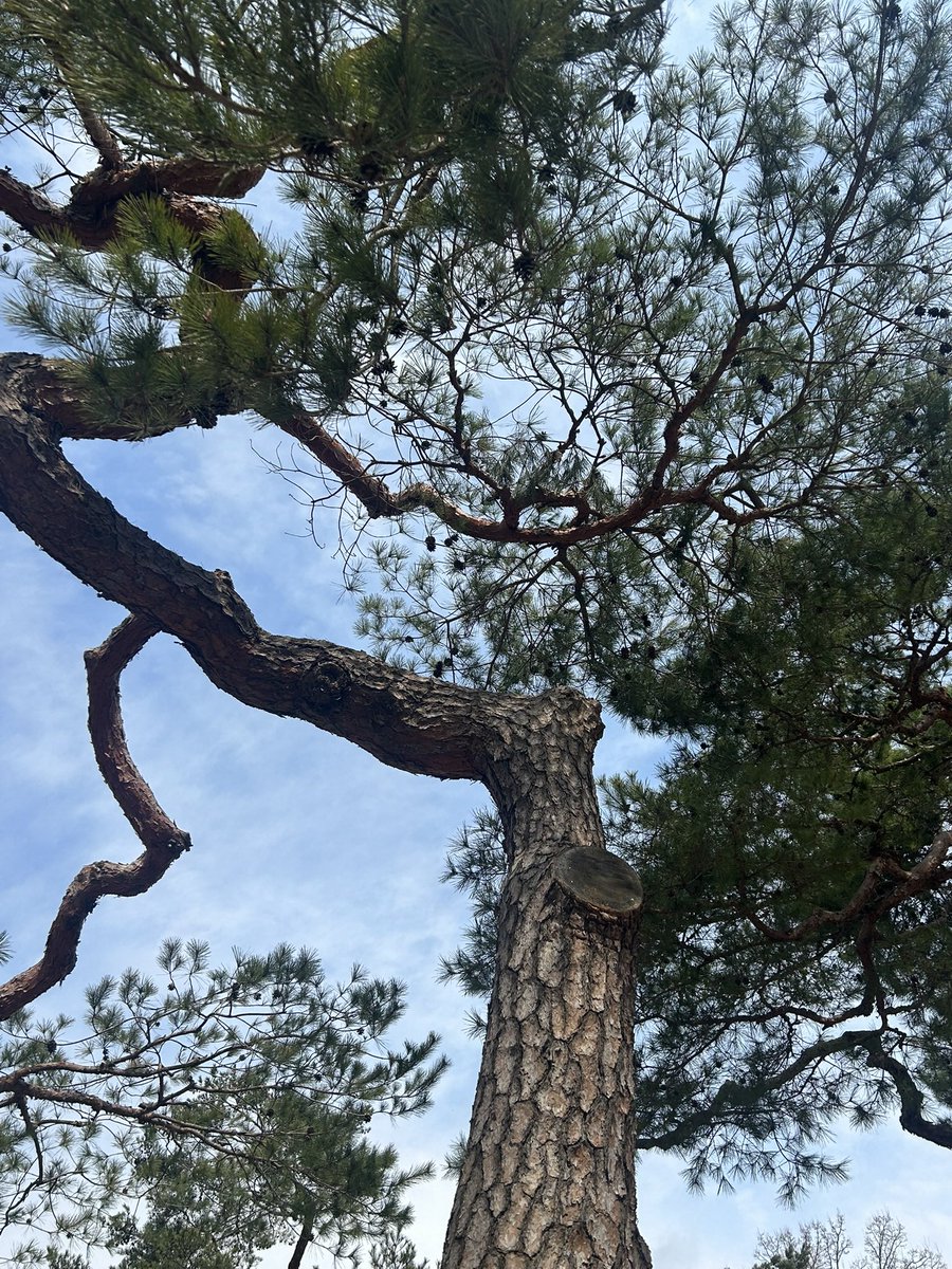 곰돌이 tweet media