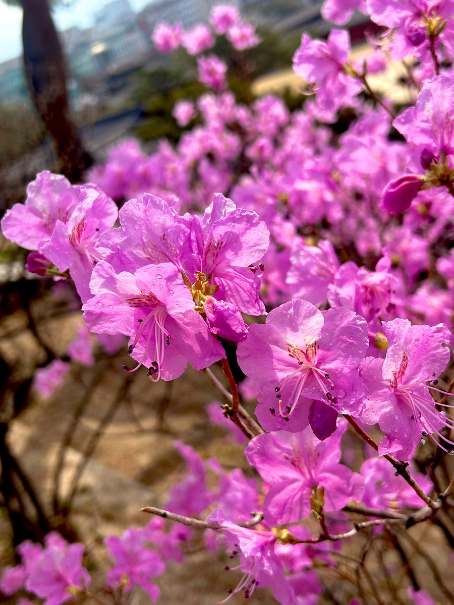 곰돌이 tweet media