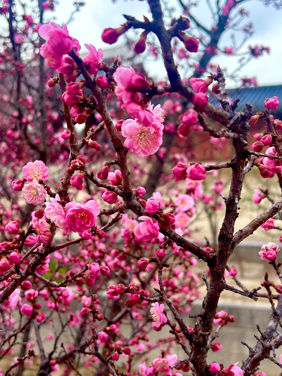 곰돌이 tweet media