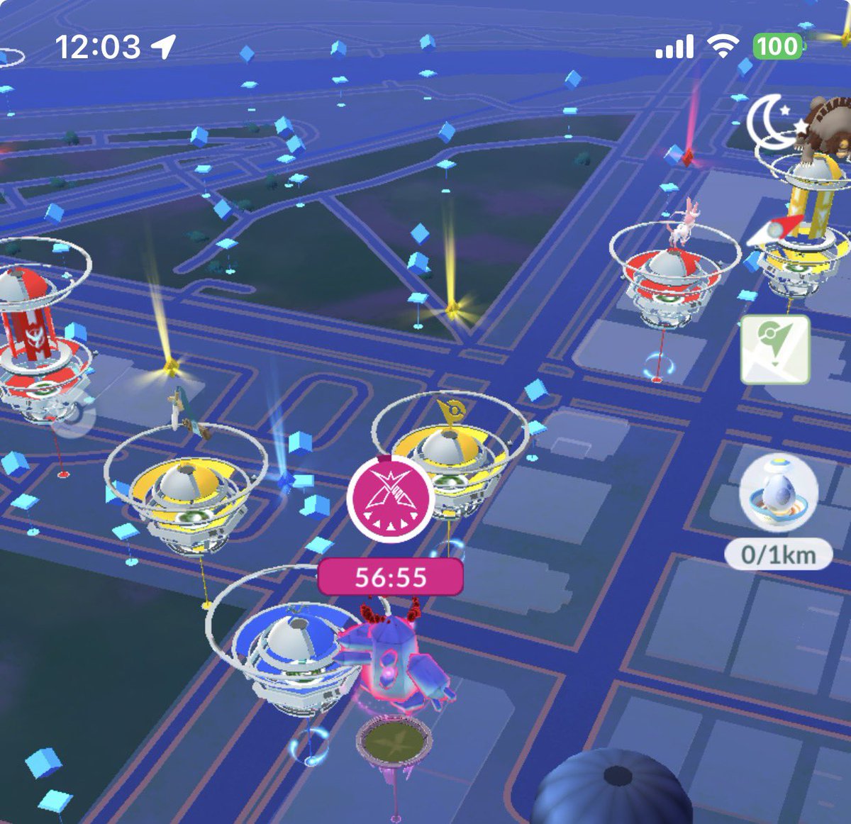 graytutor tweet media