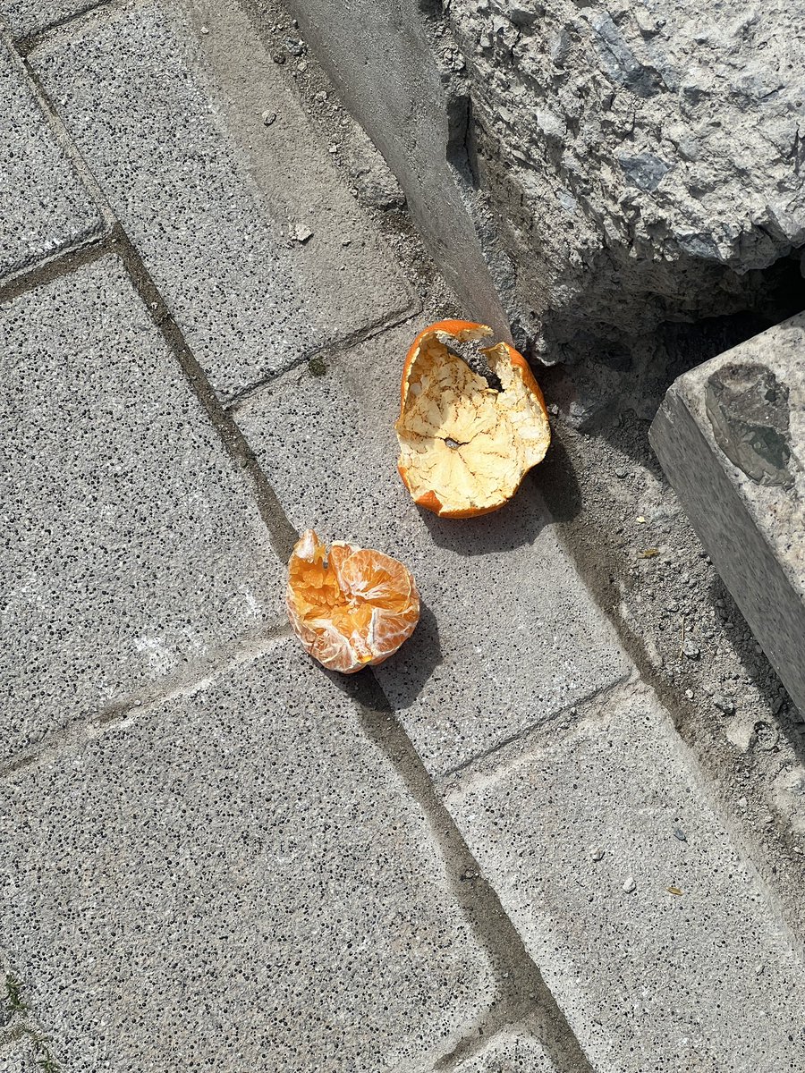 천소녕 tweet media