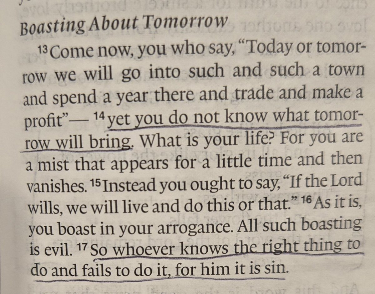 Wore🍇Mago tweet media