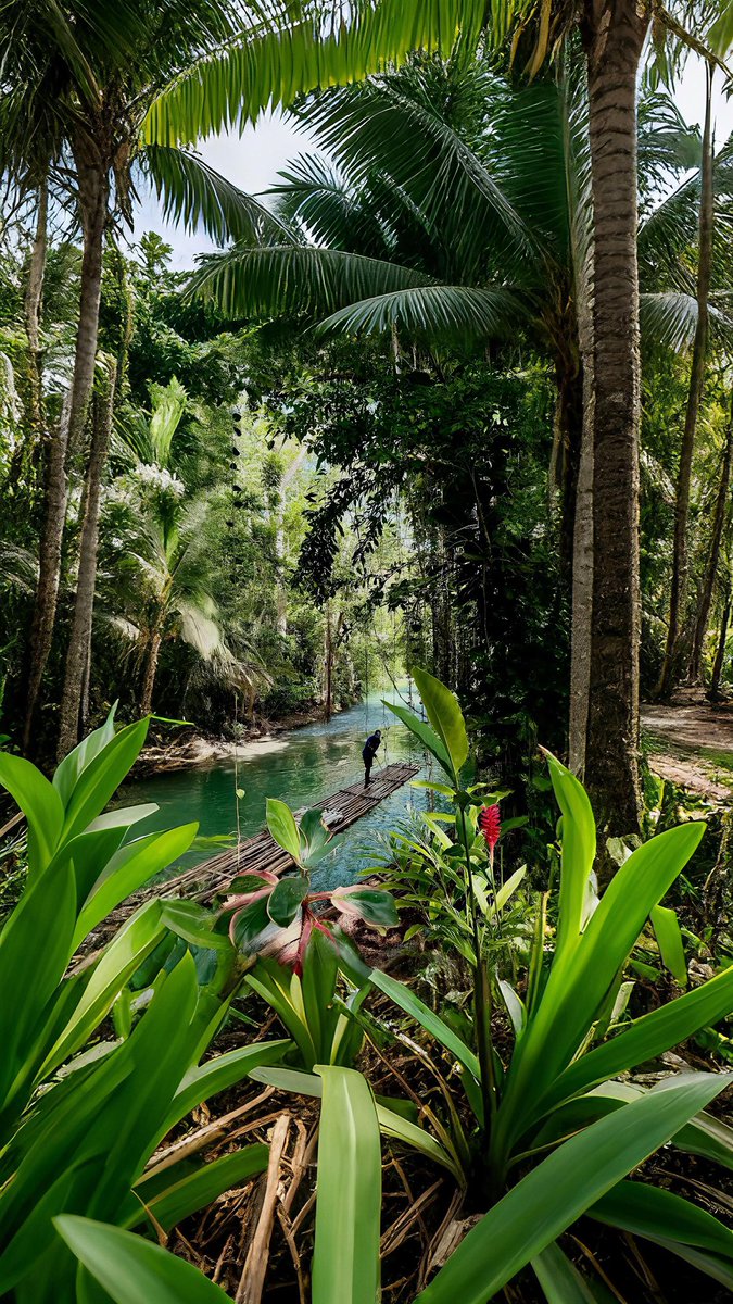 رحال tweet media