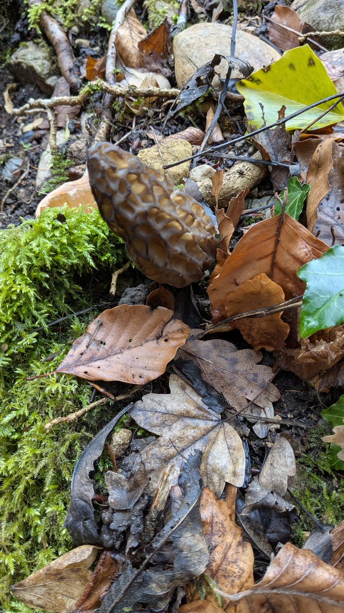 Marie-Jo Siggen tweet media