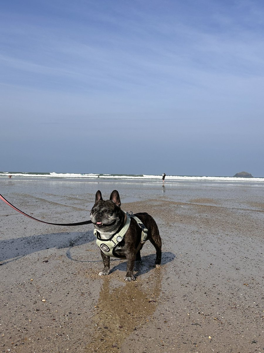 Gem 🦋 tweet media