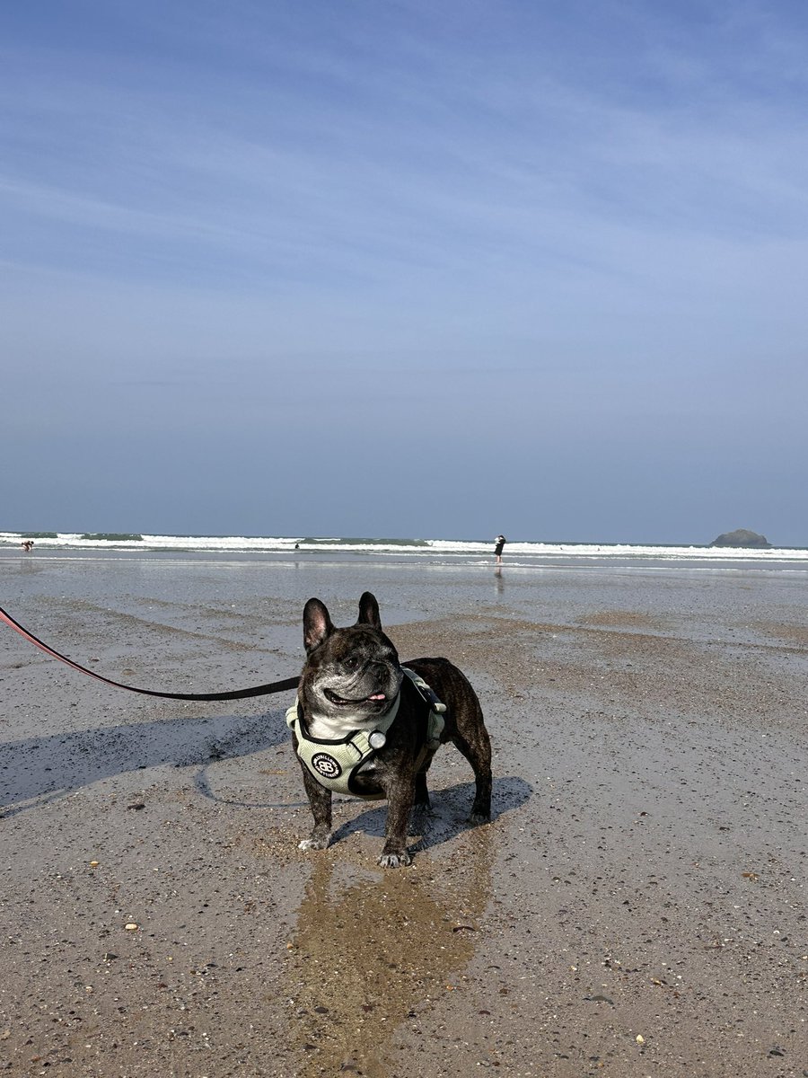 Gem 🦋 tweet media