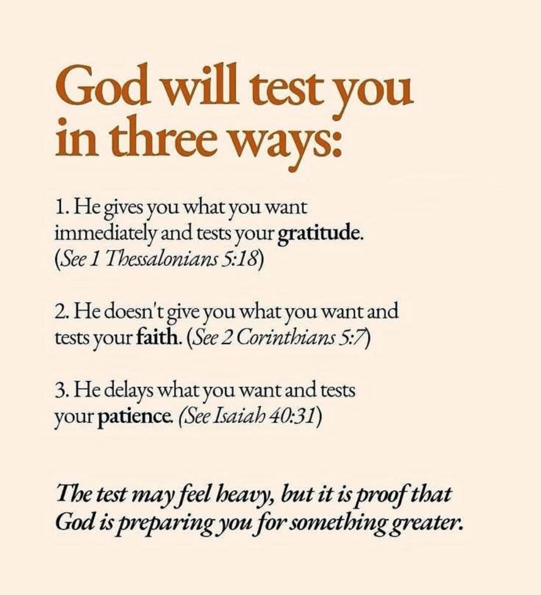 AMASEEDSOWER tweet media