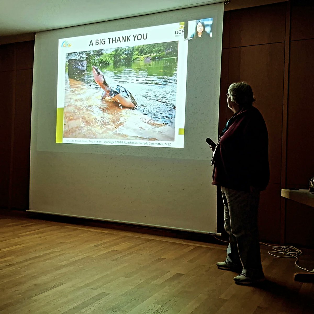 Turtle Survival Alliance INDIA tweet media