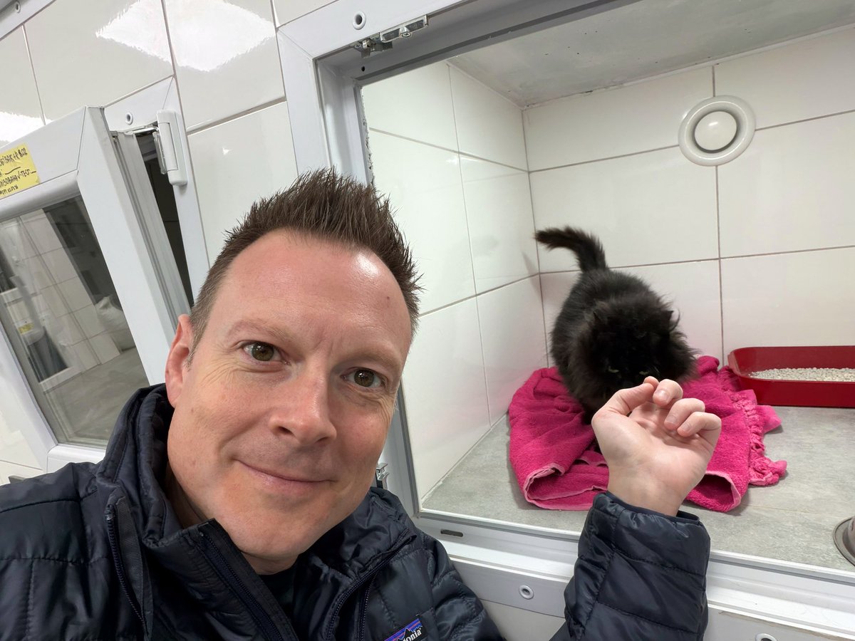 Nate Mook tweet media