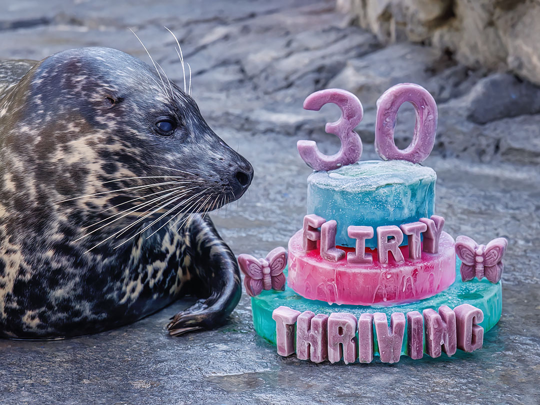Aquarium of the Pacific tweet media
