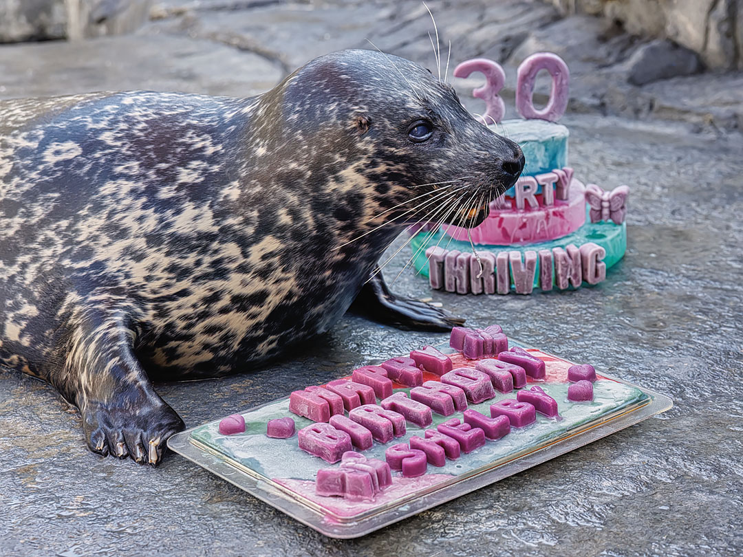 Aquarium of the Pacific tweet media