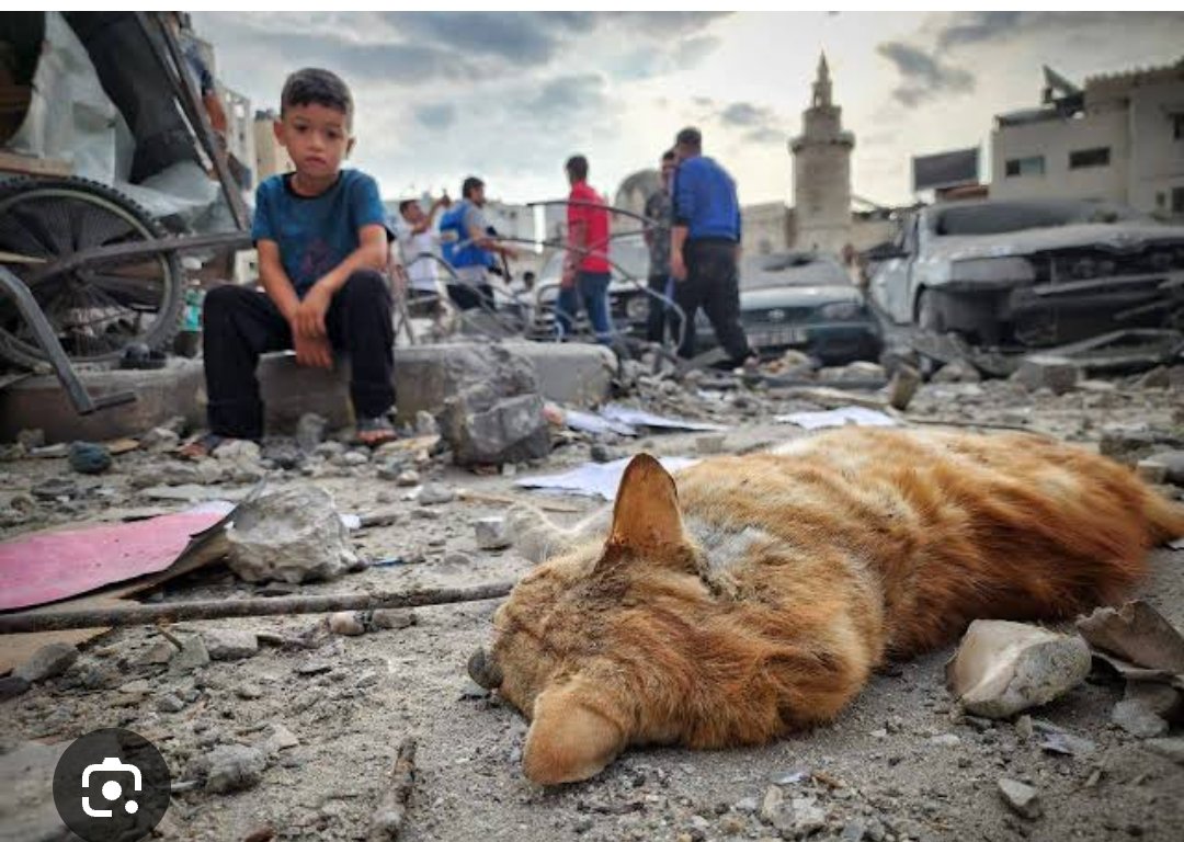 ismshn's tweet photo. İsrail, İran'ı sivilleri öldürmek ve savaş suçu işlemekle itham ediyor!

Ne tuhaf ne ağır bir çelişki!

Aşağıdaki fotoğraf, resmi rakamlara göre, en az 72 bin kişinin katledildiği Gazze'den sadece bir kare! https://t.co/kdMXt1hlgm