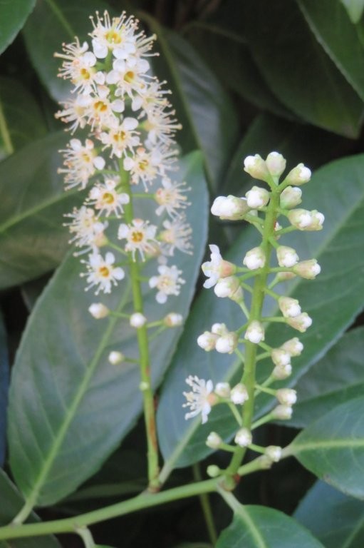 SunflowerSusi🦋🌻 tweet media