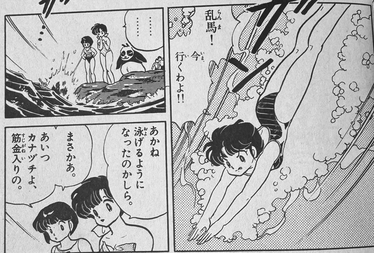 ねこぜのビタわん tweet media