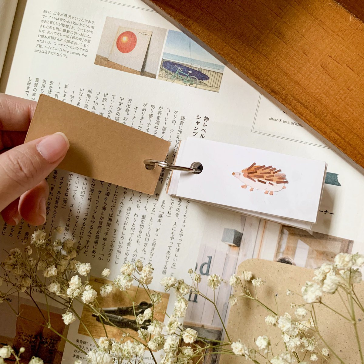 soooocereal tweet media