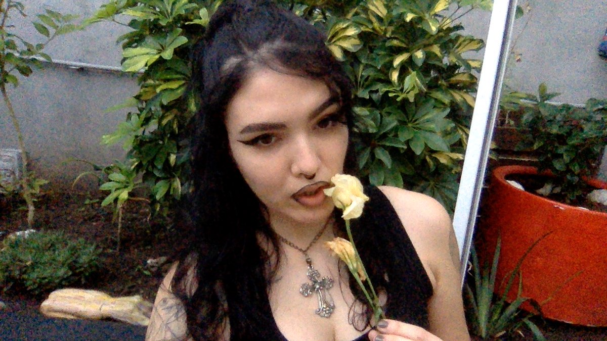 las tres o tweet media