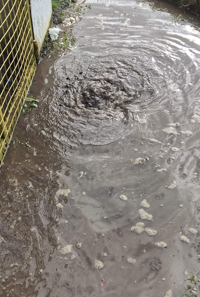 David McClure tweet media