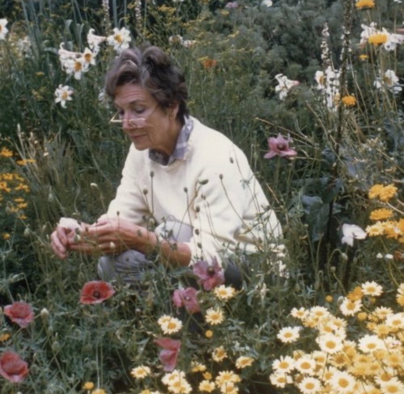 melonella tweet media