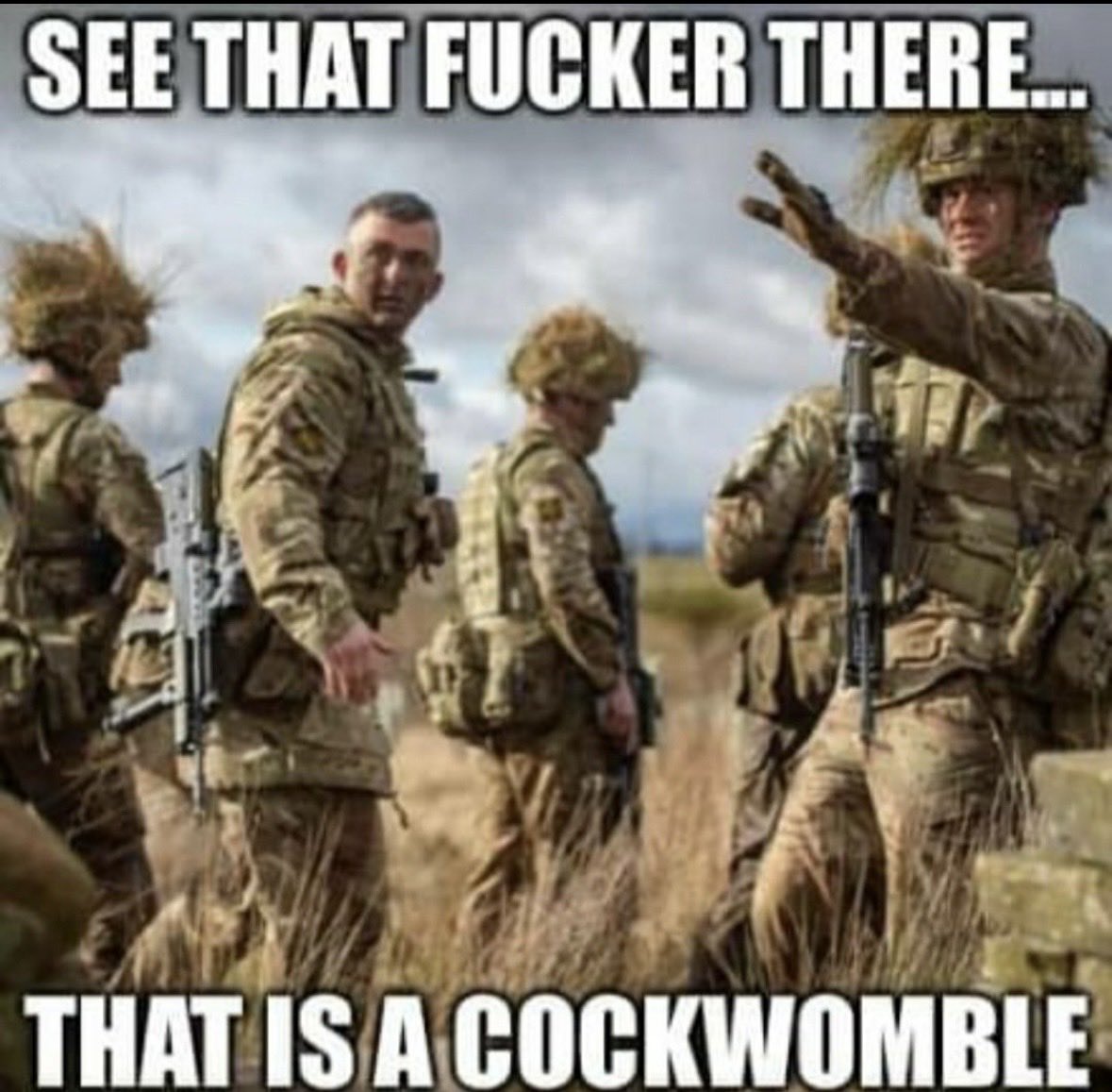 🤡STEVOW🚫🟢🟡 tweet media