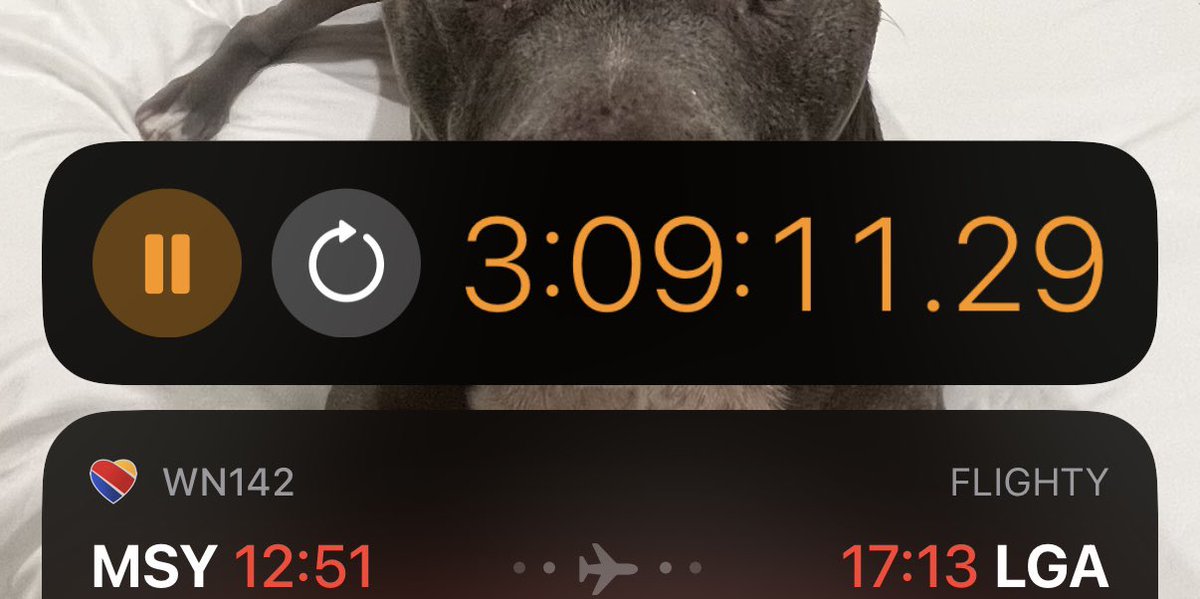 Maybe: MJ 🍒 tweet media