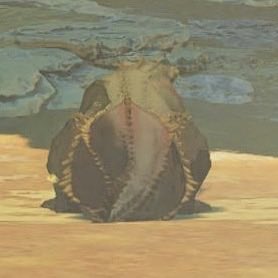 卜卜子 tweet media