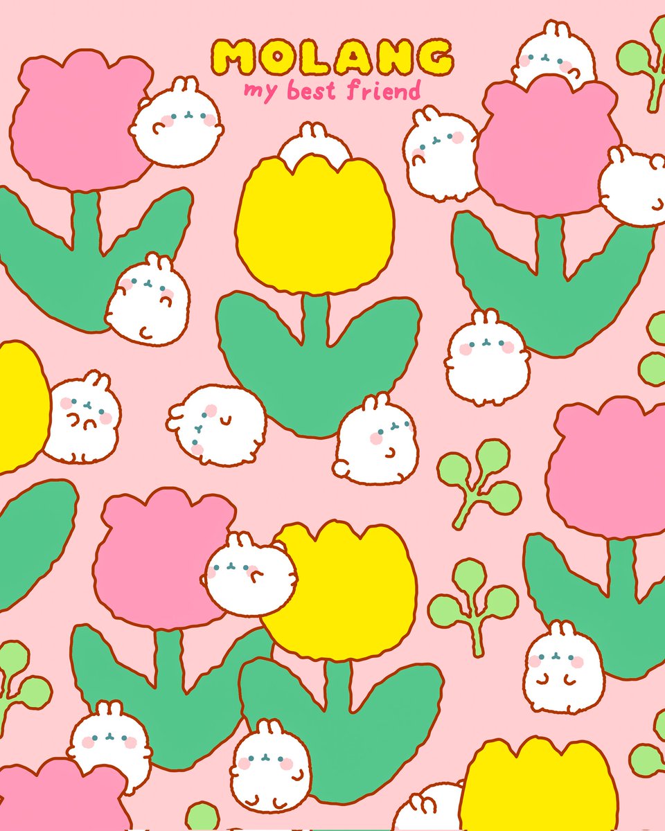 몰랑이작가🐰 tweet media