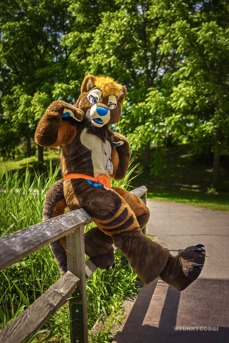 Kaïko the dotter ➡️ LVFC tweet media