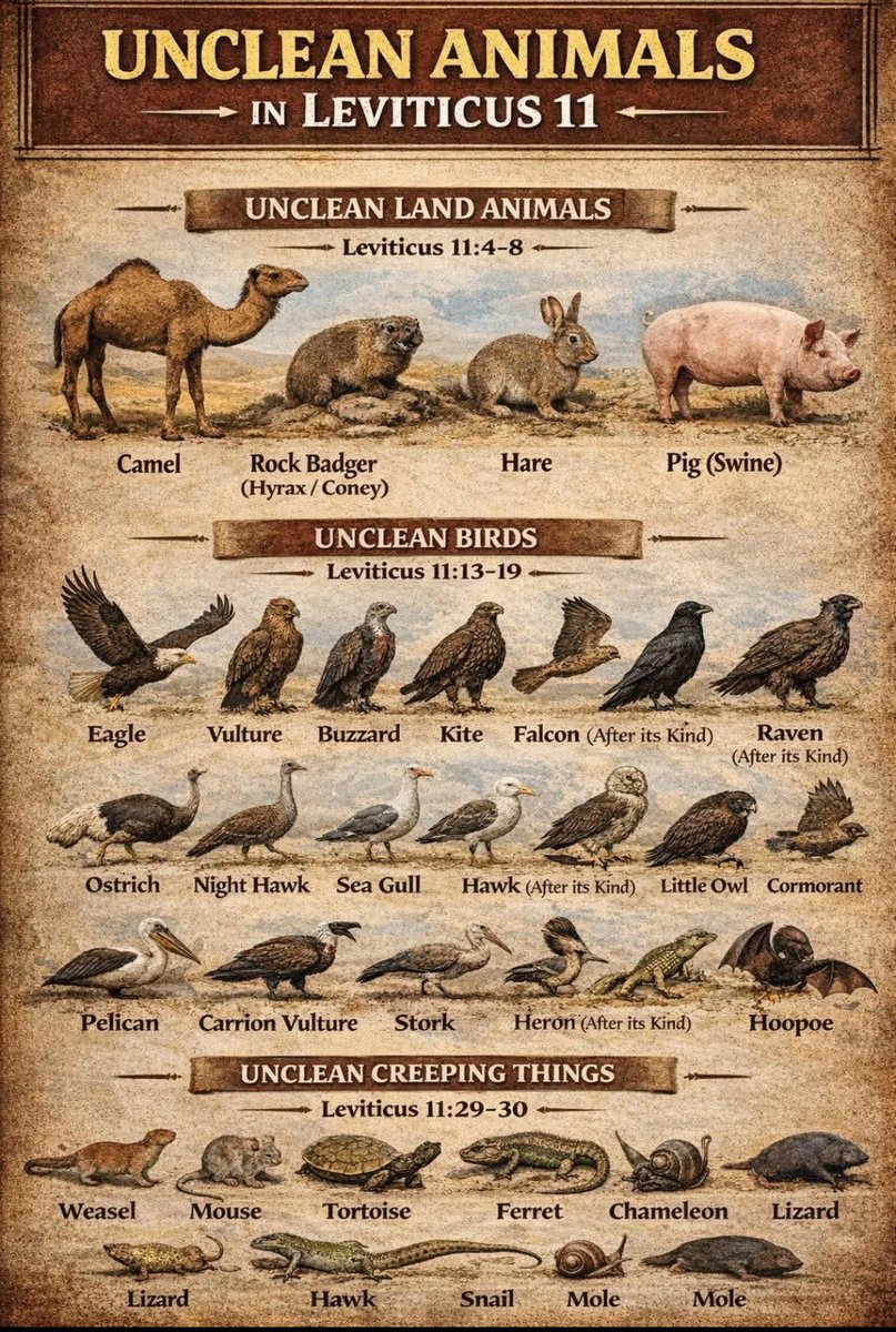 AMASEEDSOWER tweet media