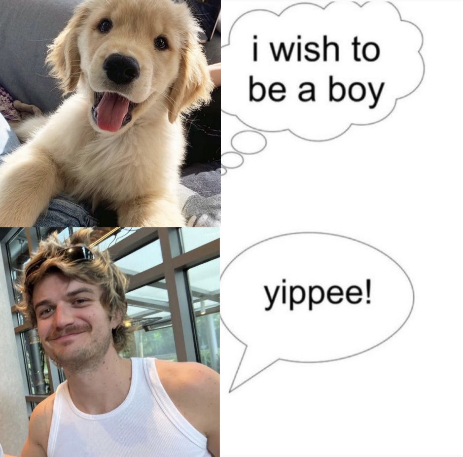 lilybug ⋆˚꩜。 tweet media