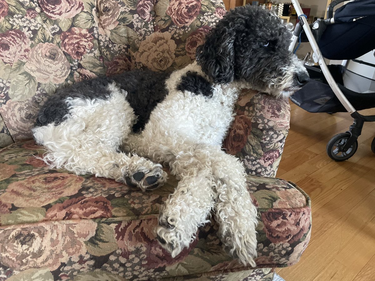 Steve Hullfish, ACE tweet media