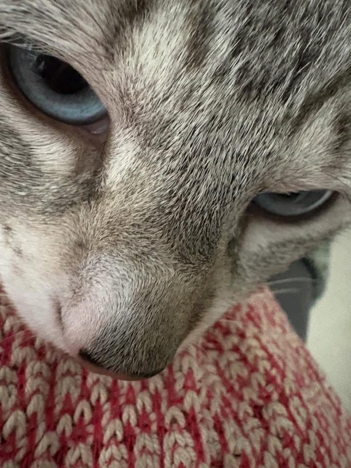 ♡AlbloxSuper♡ tweet media